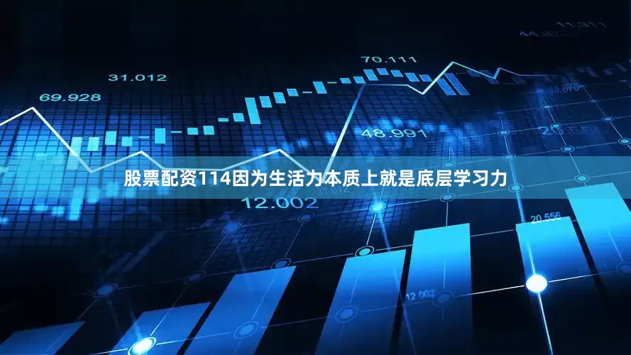 股票配资114因为生活力本质上就是底层学习力