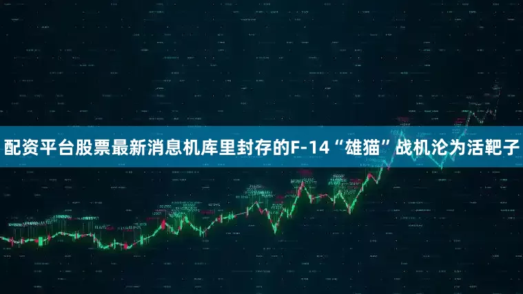 配资平台股票最新消息机库里封存的F-14“雄猫”战机沦为活靶子