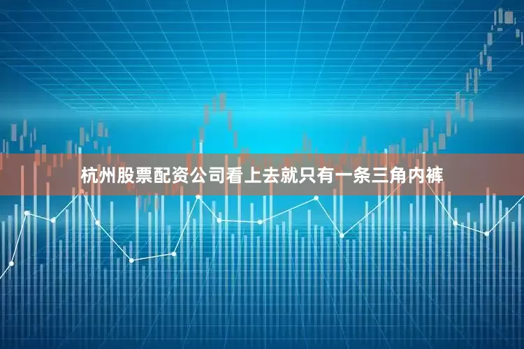 杭州股票配资公司看上去就只有一条三角内裤